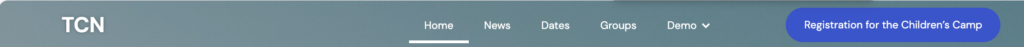 Screenshot Website Header Navigation