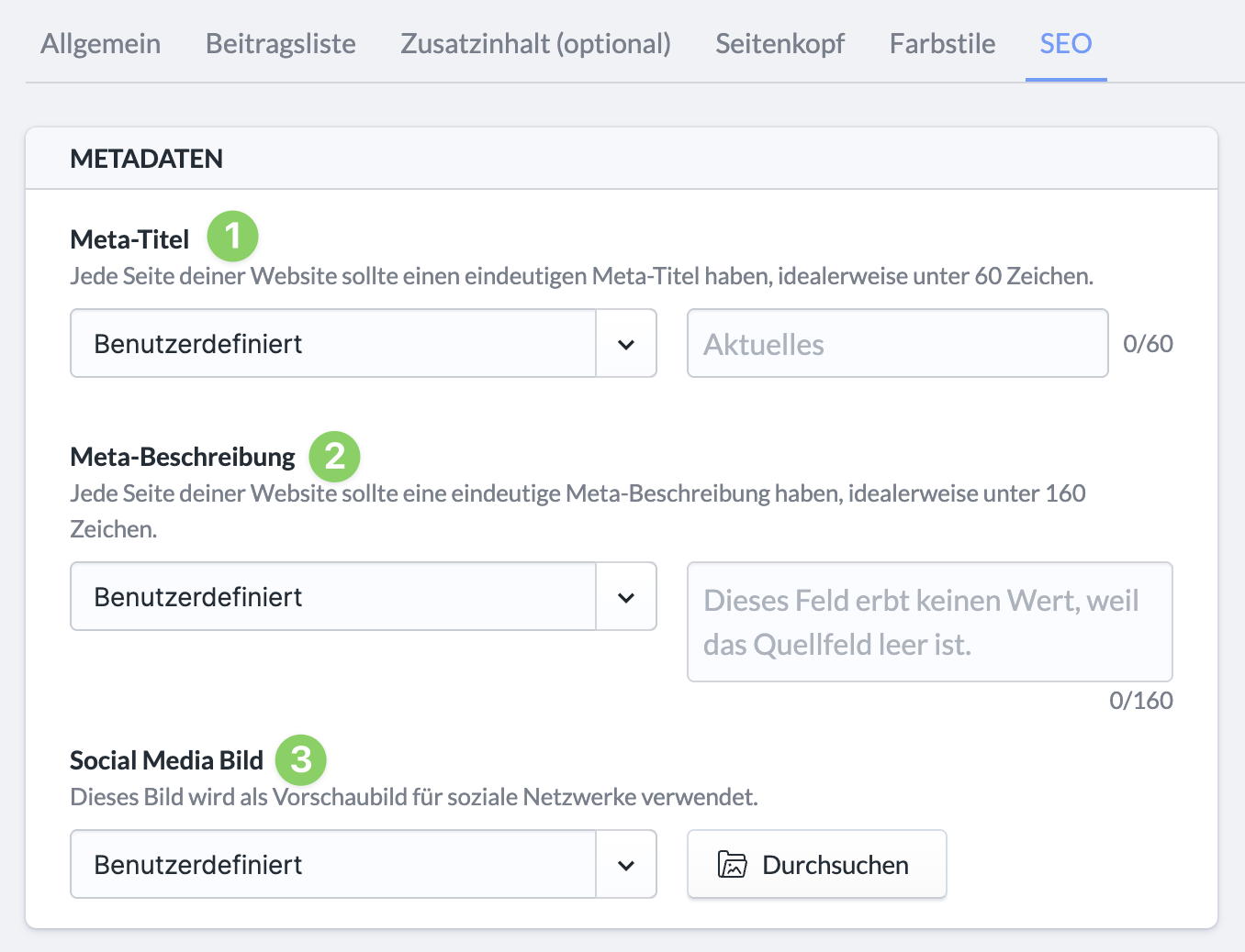 Screenshot Tab "SEO" einer Seite